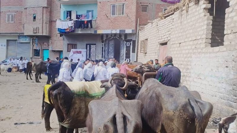 جامعة الفيوم تنظم قافلة بيطرية مجانية بقرية بحر أبو المير ال
