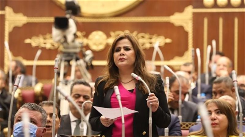النائبة أمل رمزي 