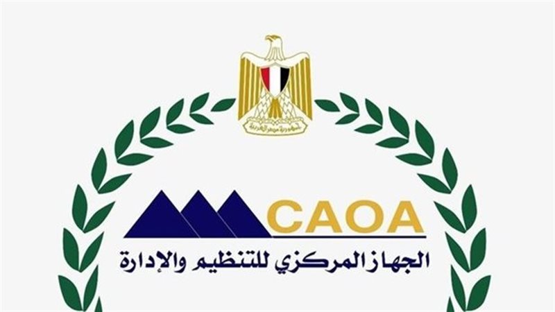 التنظيم والادارة