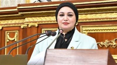 نائبة برلمانية: الموقف العربي الموحد أفشل مخططات تهجير الفلسطينيين