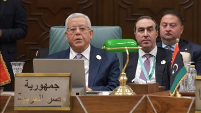 رئيس النواب: مصر وفرت حماية دبلوماسية لإجهاض مخططات التهجير