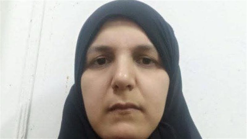 طبيبة المنوفية