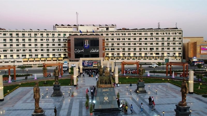 محافظ اسوان