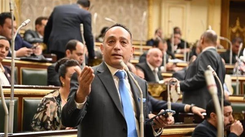 الدكتور فريدي البياضي، عضو مجلس النواب