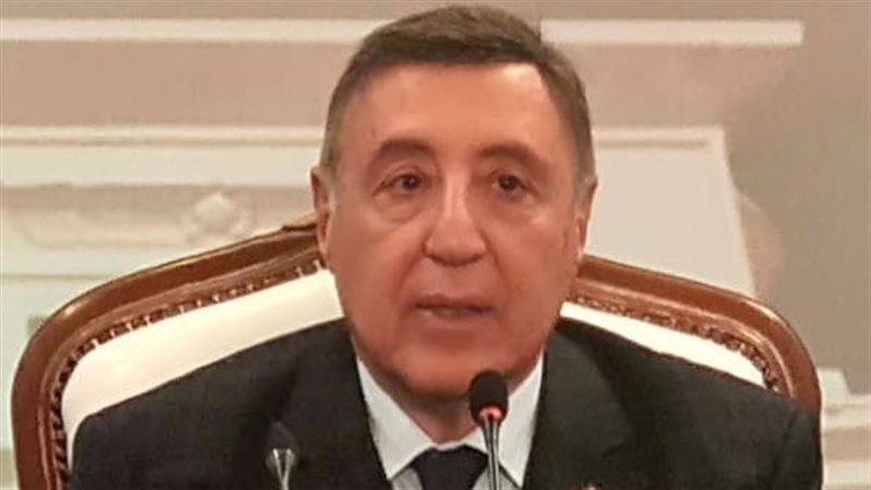 رئيس الدستورية