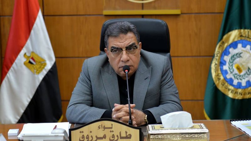 محافظ الدقهلية 