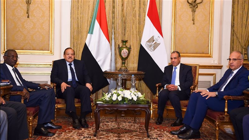 وزير الخارجية بدر عبد العاطي