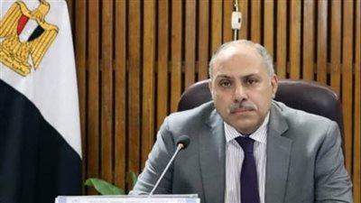 أستاذ علوم سياسية: 25 مليون مستفيد من تبرعات المصريين بالتحالف الوطني