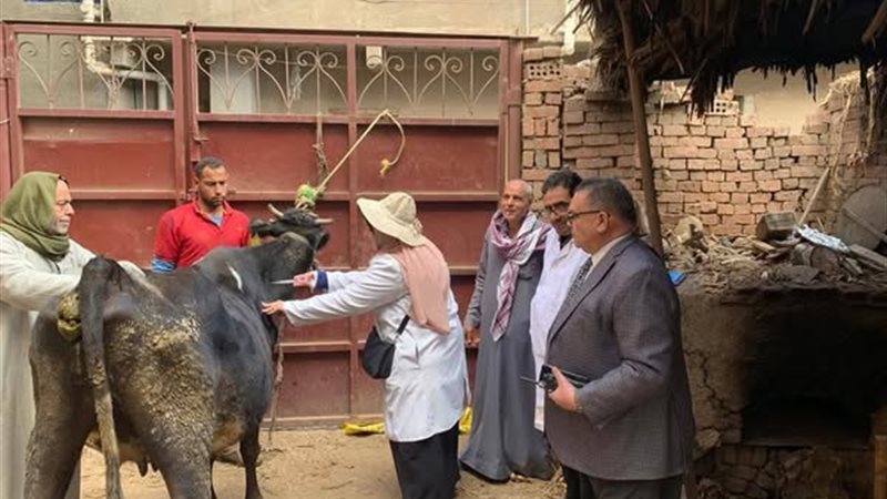 أرشيفية
