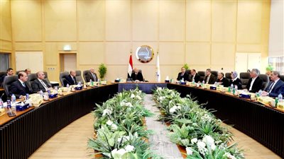 589 مليون جنيه إيرادات القابضة للطرق والكباري، وخطط للتوسع عربيا وإفريقيا (تفاصيل)