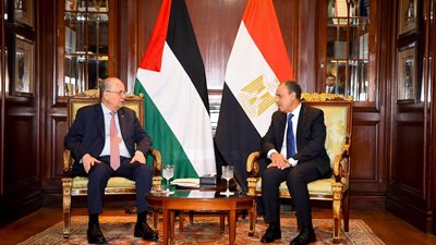 القمة العربية الطارئة على الأبواب.. ومصر تؤكد دعمها لإعمار غزة
