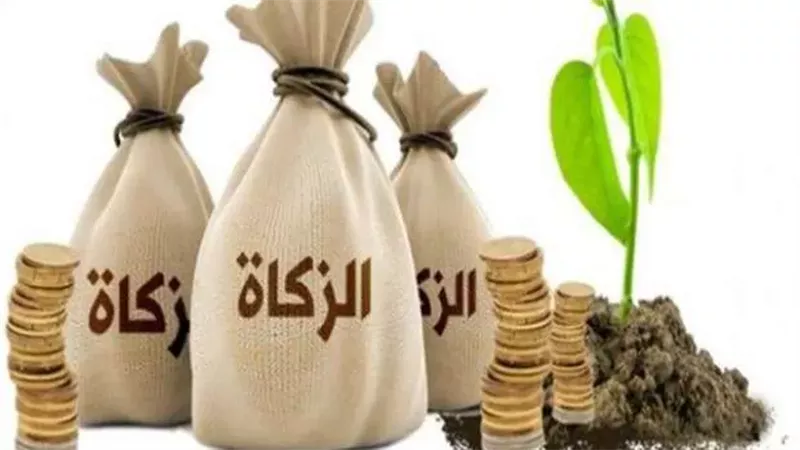 اهم احكام زكاة المال