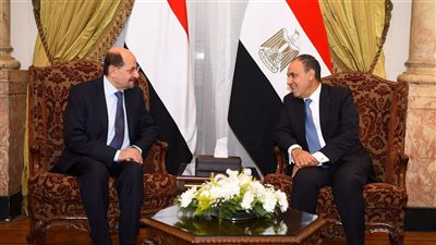 وزير الخارجية يؤكد دعم مصر الراسخ لوحدة اليمن ومؤسساته