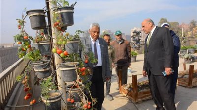 رئيس جامعة أسيوط: مبادرة زراعة الأسطح بالجامعة نموذج للاستدامة