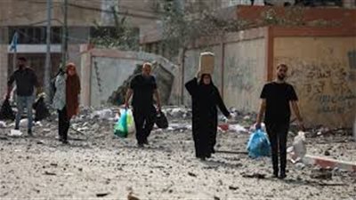 مصر تقود جهودا إقليمية متواصلة لدعم تسوية القضية الفلسطينية.. تفاصيل