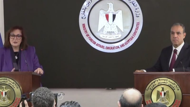 وزير الخارجية الدكتور بدر عبد العاطي