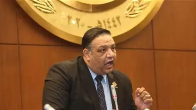 النائب محمد عزمي 