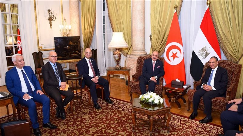 وزير الخارجية الدكتور بدر عبد العاطي
