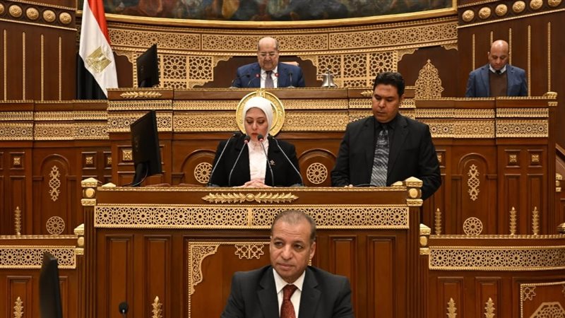 مجلس الشيوخ