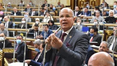 عضو بمجلس النواب يتساءل عن حقيقة طرح المجازر الحكومية للقطاع الخاص