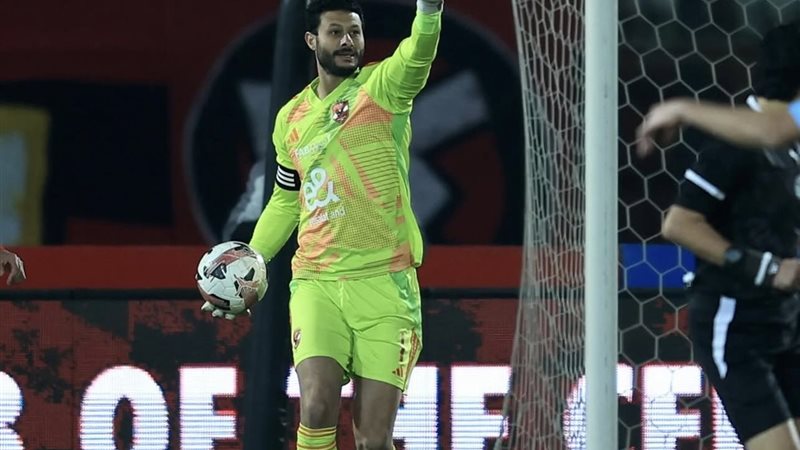 محمد الشناوي 