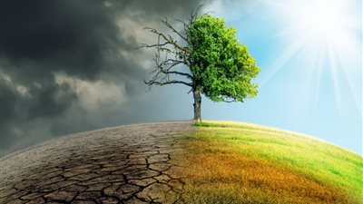 نباتات القطب الشمالي تصدر علامة تحذير مبكرة لتغير المناخ