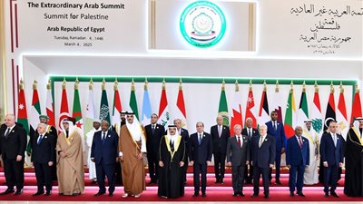 أستاذ علوم سياسية: التوافق في القمة العربية يعكس نجاح القيادة المصرية