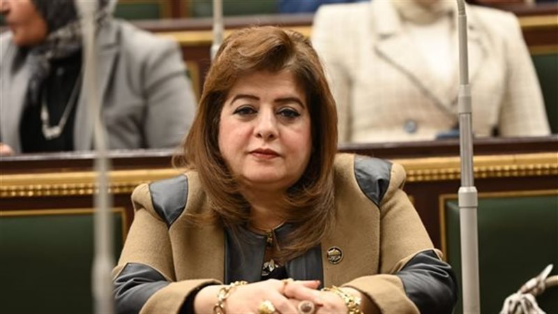 النائبة هناء أنيس رزق الله