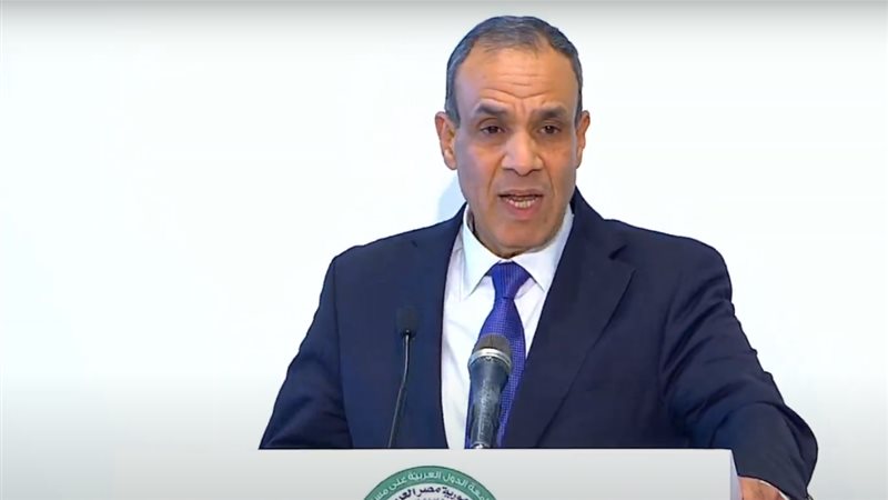 وزير الخارجية بدر عبد العاطي 