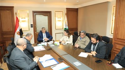 محافظ الجيزة يتابع أعمال تجديد الهوية السياحية والبصرية على الطريق الدائري