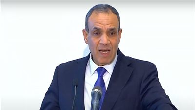 وزير الخارجية: مصر ستتصدى لأي أفكار تستهدف تهجير الفلسطينيين خارج أراضيهم