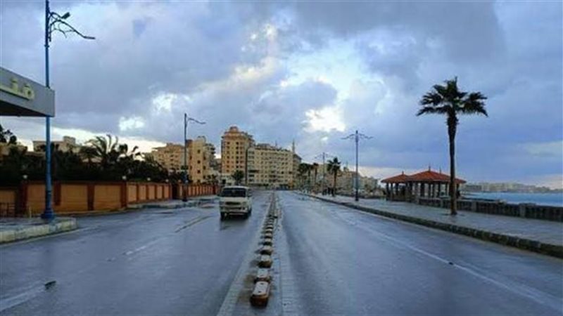 ارشيفية