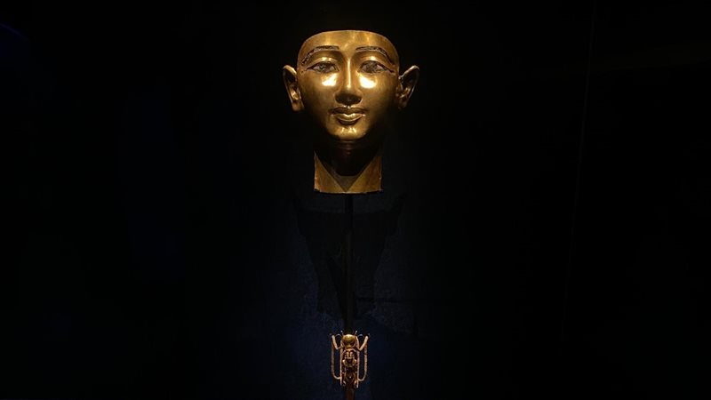 معرض 