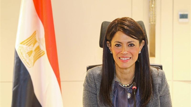 وزيرة التخطيط
