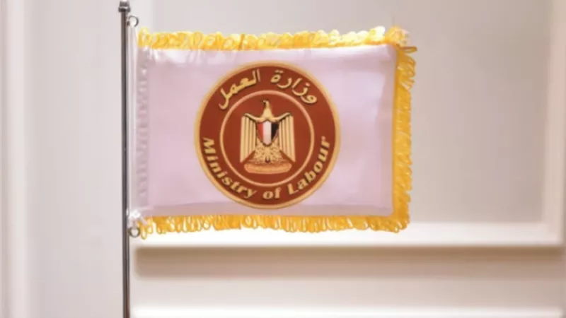 وظائف جديدة
