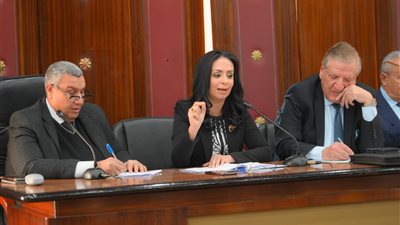 وزيرة التضامن تكشف أرقام المستفدين وتكلفة برنامج 