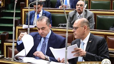 وزير الشئون النيابية: لا قيود إضافية على تحديد نسبة العمالة الأجنبية بالمؤسسات