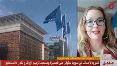 مستشارة الاتحاد الأوروبي: التهديدات الأمريكية تخلق تحديات اقتصادية وسياسية معقدة