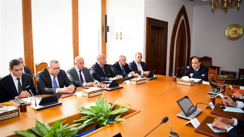 وزير الخارجية والهجرة الدكتور بدر عبد العاطي