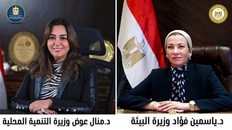 اليئة والتنمية المحلية 
