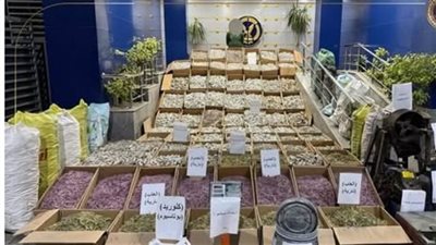 سقوط عاطلان وبحوزتهم 4 مليون قطعة العاب نارية بالفيوم