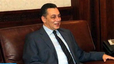 مساعد وزير الخارجية: 4 محاور تقوم عليها الوكالة المصرية للشراكة من أجل التنمية