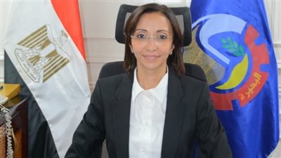 «قومي المرأة» يشيد بسرعة استجابة محافظة البحيرة في واقعة اعتداء مدير مدرسة على الطالبات