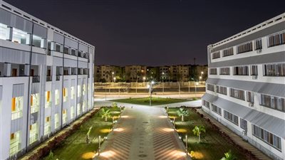 جامعة دمياط تتصدر قائمة أفضل الجامعات المصرية في تصنيف Nature lndex