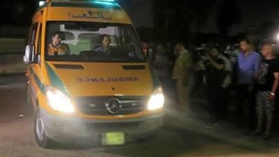 تفاصيل مقتل ميكانيكي بعد استدراجه وسرقته بالمحلة 