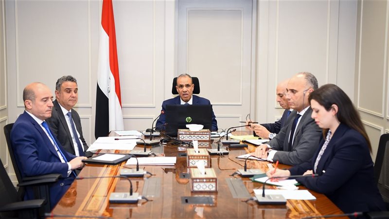 وزير الخارجية بدر عبد العاطي