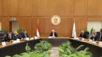 التعليم العالي: محمد نصر الدين رئيسا لمجلس أمناء جامعة الإسكندرية الأهلية