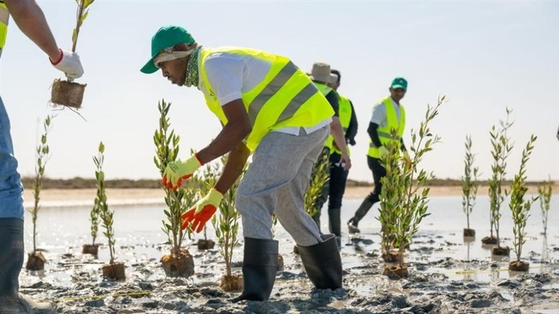 مبادرة السعودية الخضراء
