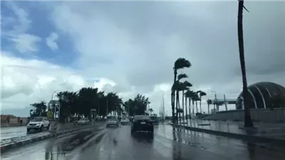 الأرصاد تحذر من طقس السبت: استمرار انخفاض درجات الحرارة