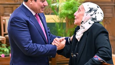 الرئيس السيسي يكلف الحكومة بمواجهة أشكال العنف ضد المرأة كافة